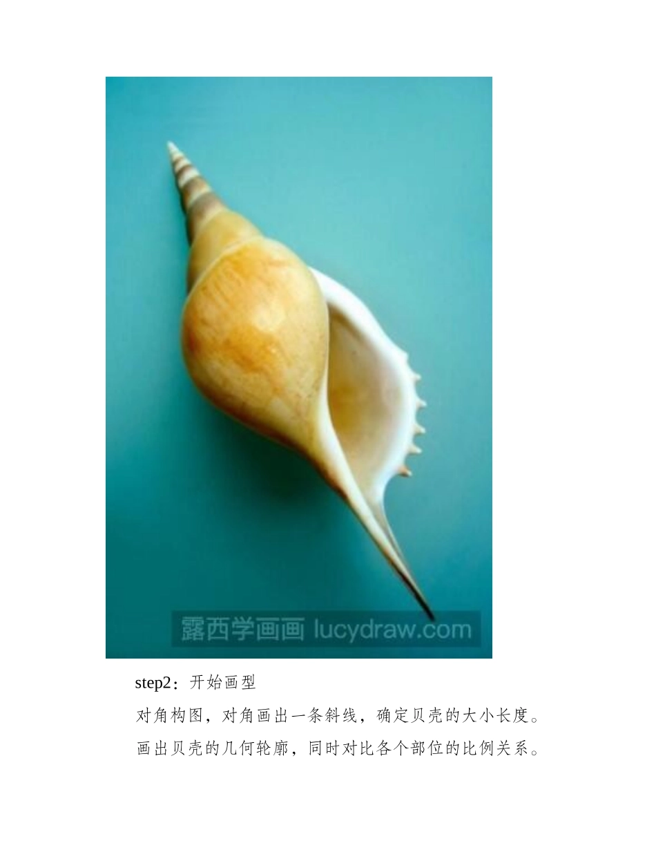 马丁长鼻螺彩铅画教程彩铅画教程_第2页