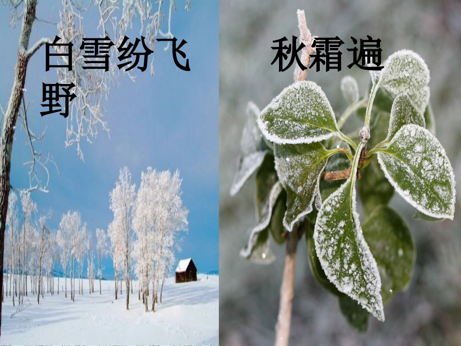 公开课一年级语文下册《识字三》课件_第3页