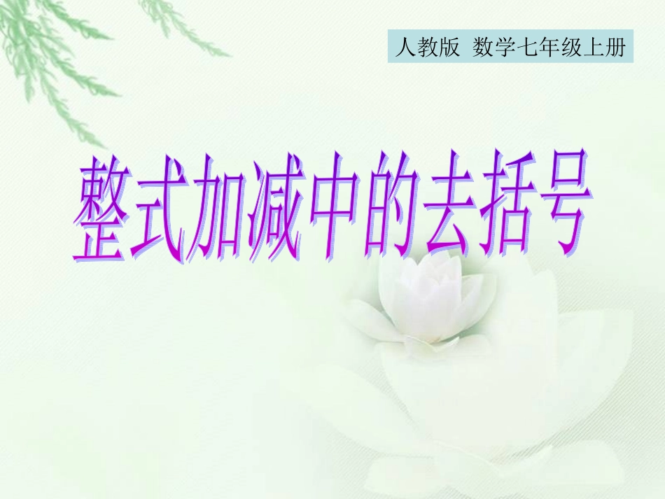 整式加减中的去括号_第1页