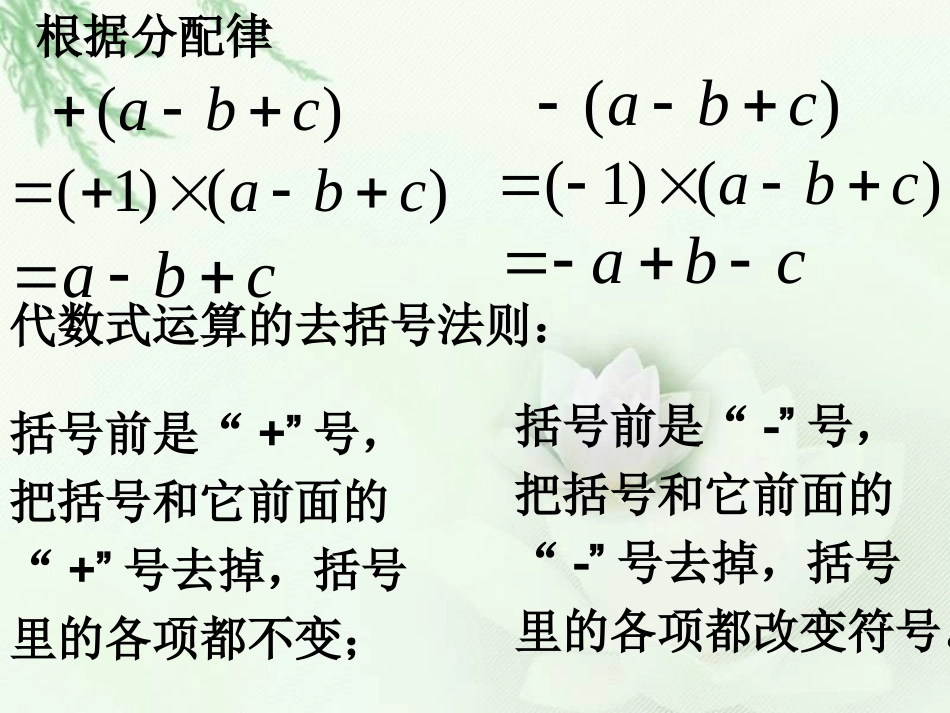 整式加减中的去括号_第3页