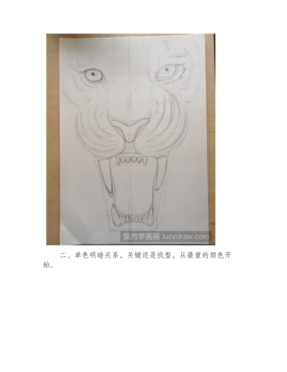 孟加拉虎水粉画教程水粉画教程_第2页