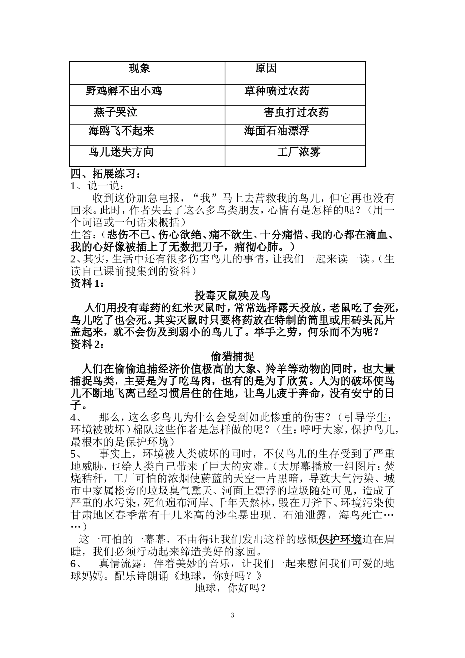 陈国欣鸟儿的侦察报告教案_第3页