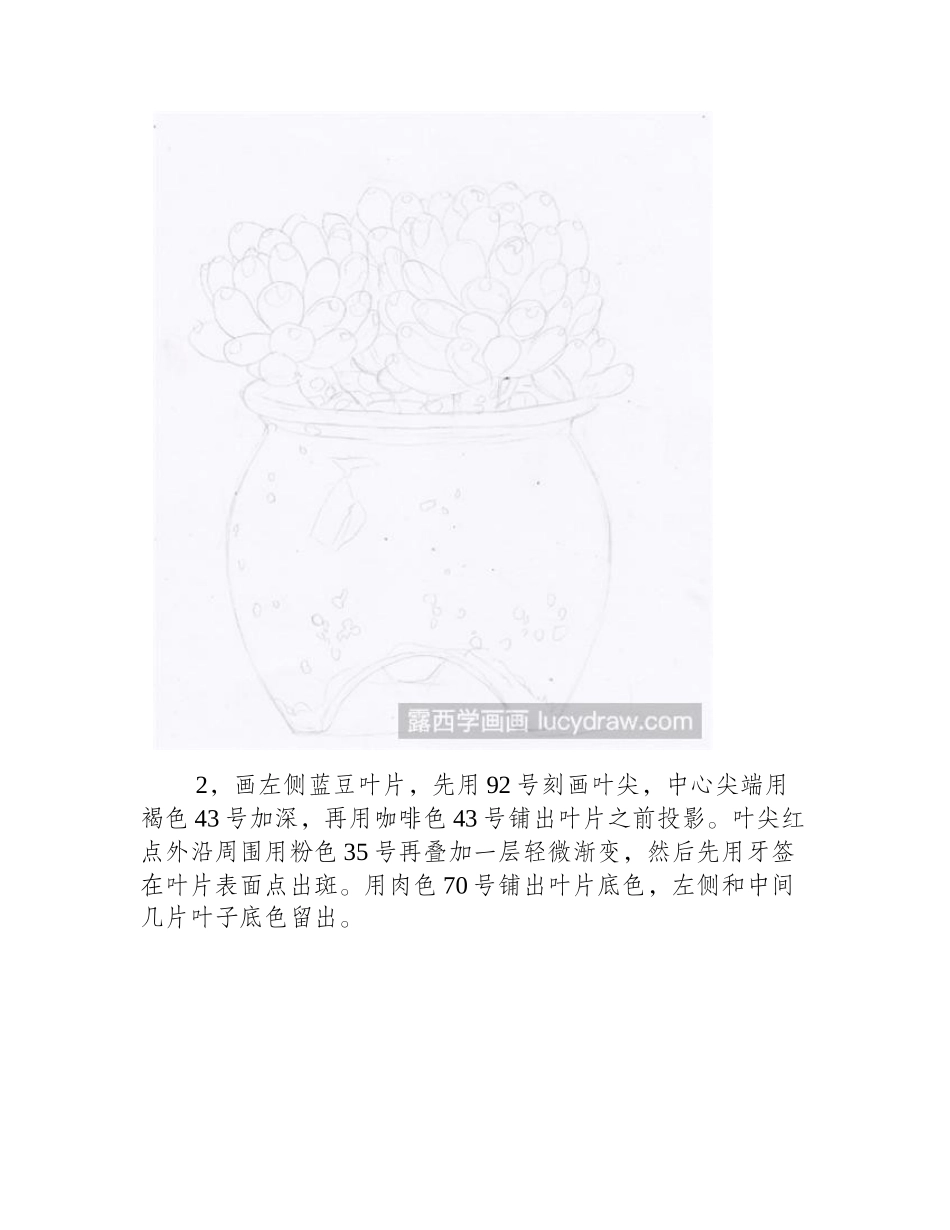 蓝豆彩铅画教程彩铅画教程_第2页