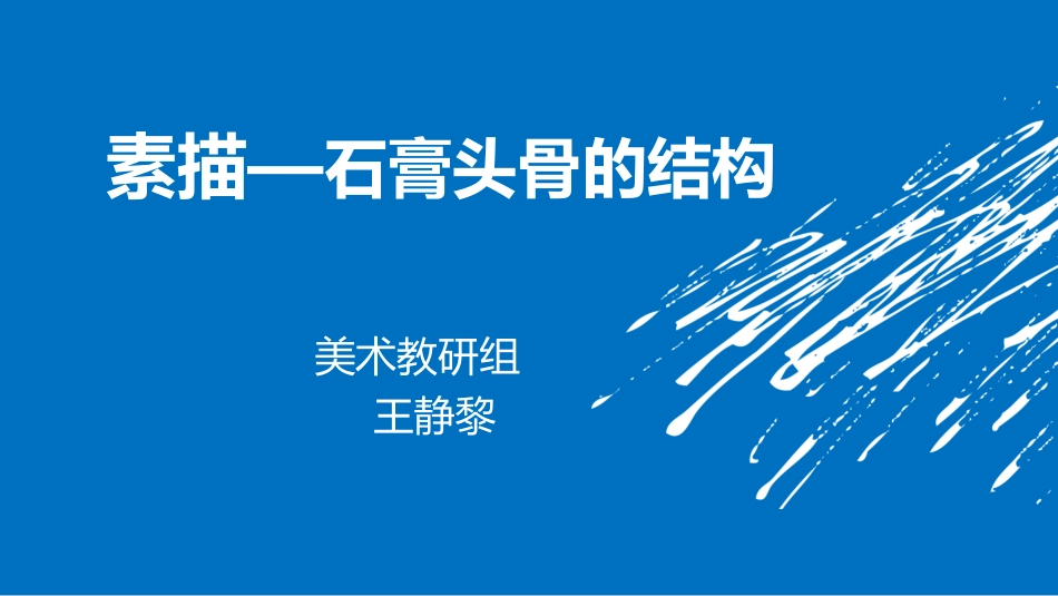 王静黎《石膏头骨的结构》说课、教学课件_第1页