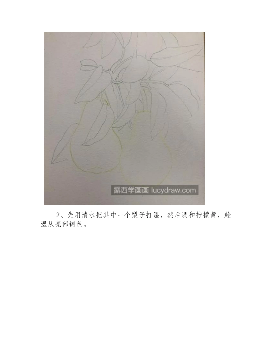 梨子怎么画_教你画树上挂着的梨水彩画教程1_第2页