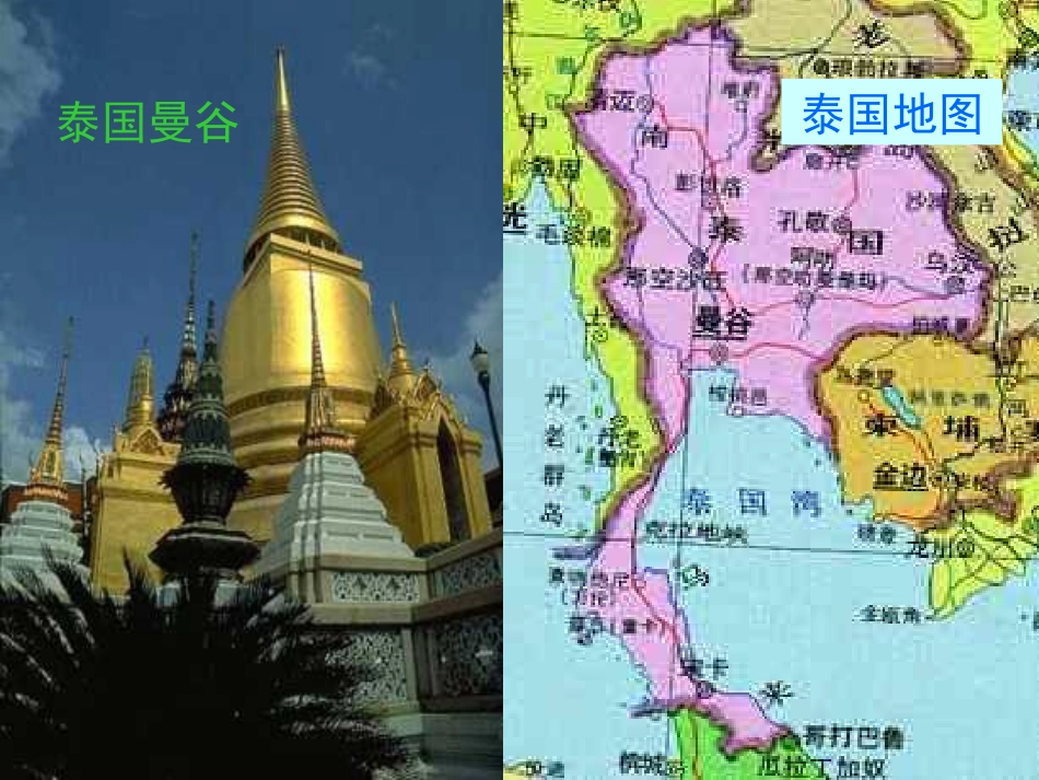 五年级语文与象共舞课件_第2页