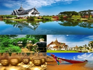 五年级语文与象共舞课件