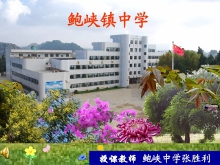 等式的性质(第一课时)
