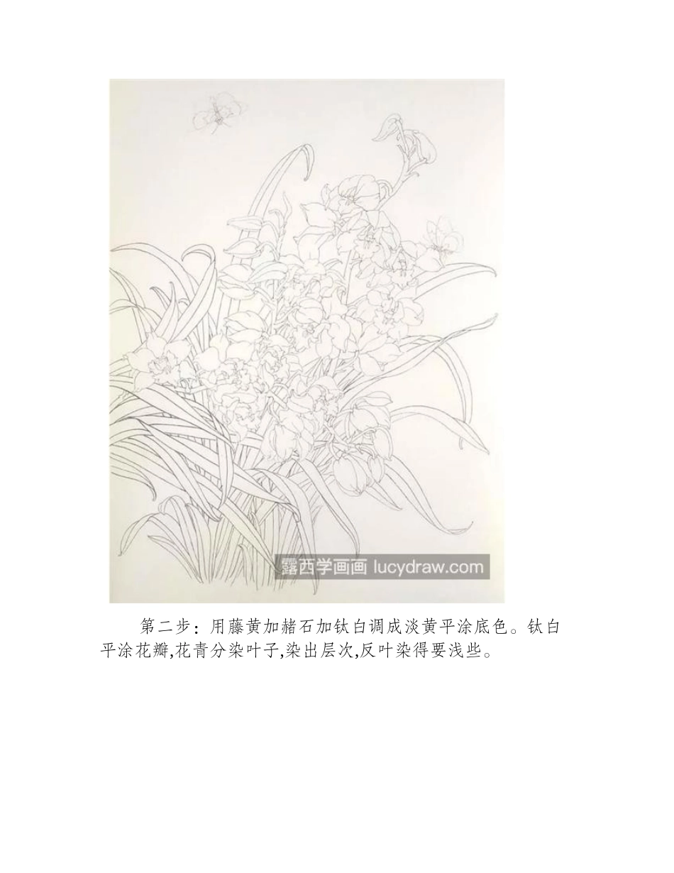 兰花怎么画_具体的工笔画步骤有几步_工笔画教程_第2页