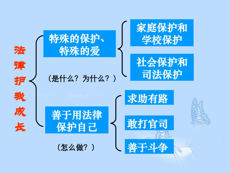 法律护我成长课件_第2页