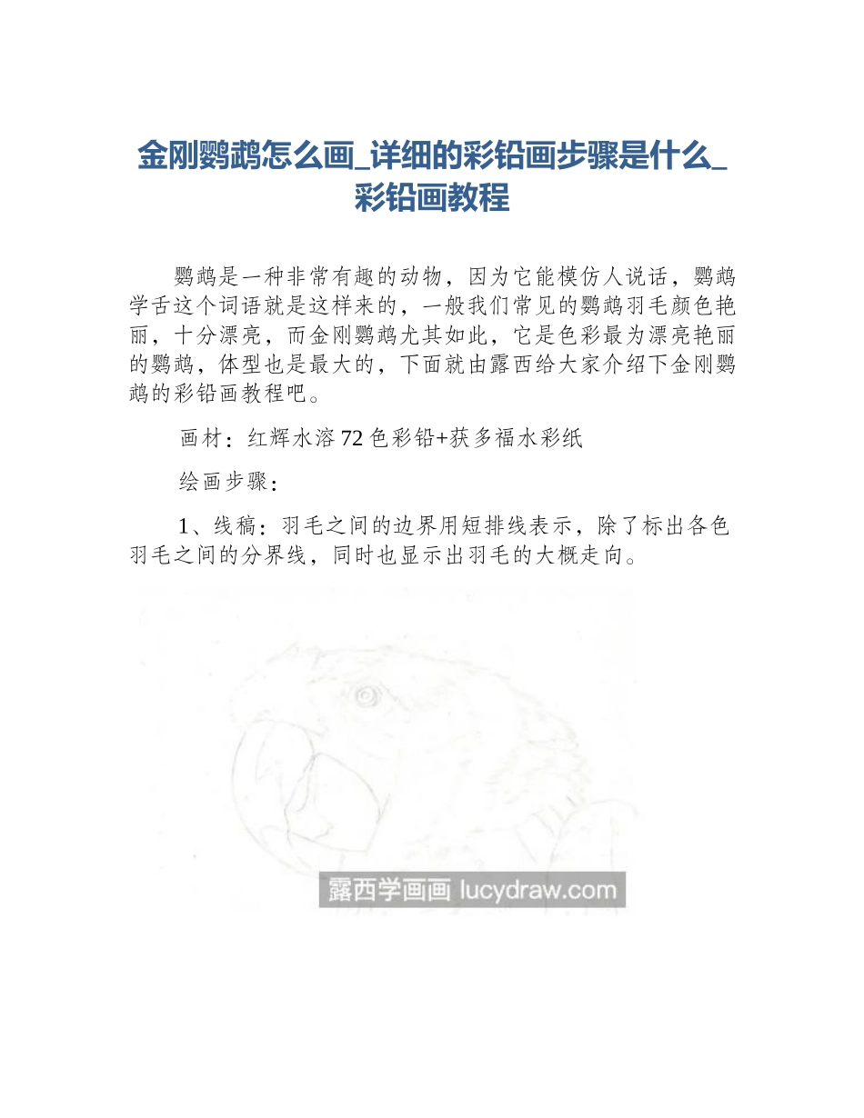 金刚鹦鹉怎么画_详细的彩铅画步骤是什么_彩铅画教程_第1页