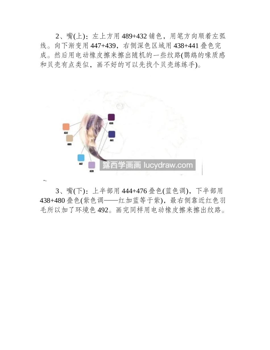金刚鹦鹉怎么画_详细的彩铅画步骤是什么_彩铅画教程_第2页