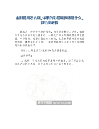 金刚鹦鹉怎么画_详细的彩铅画步骤是什么_彩铅画教程