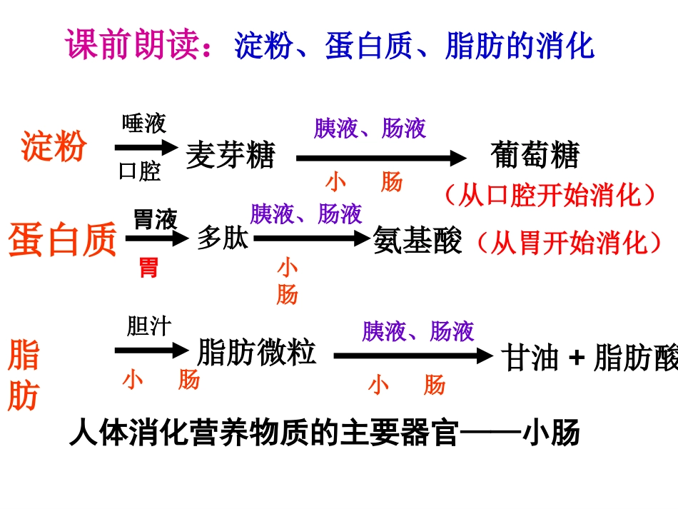 邱昭文人体的营养第三课时_第1页