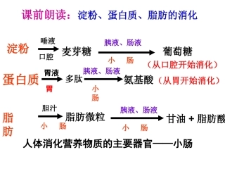 邱昭文人体的营养第三课时