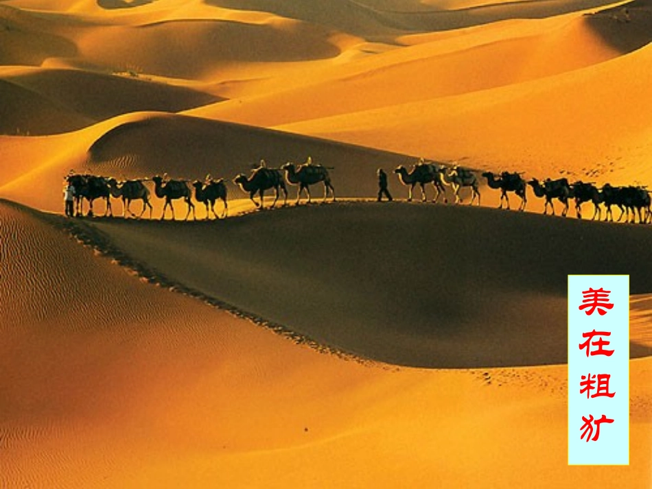 优秀课件初二语文苏州园林PPT课件_第2页