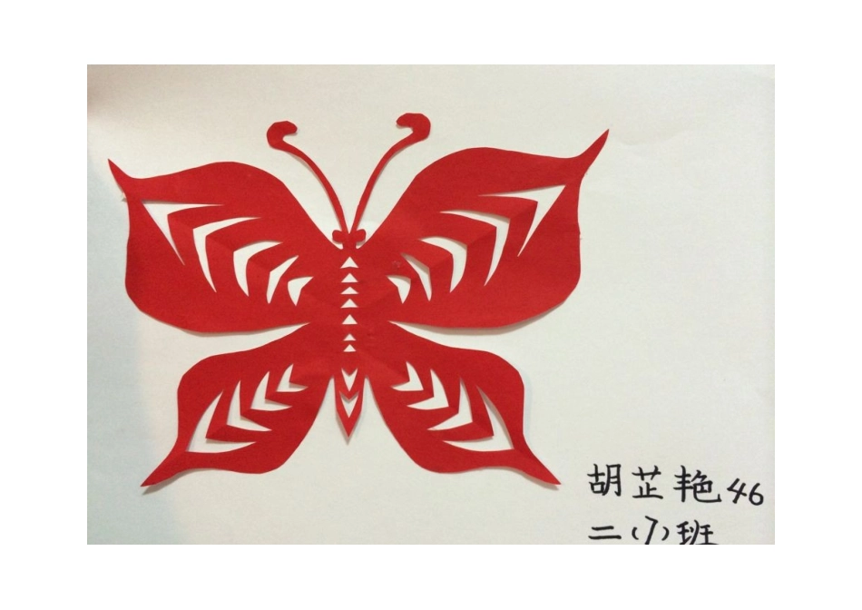 胡芷艳轴对称图形_第1页