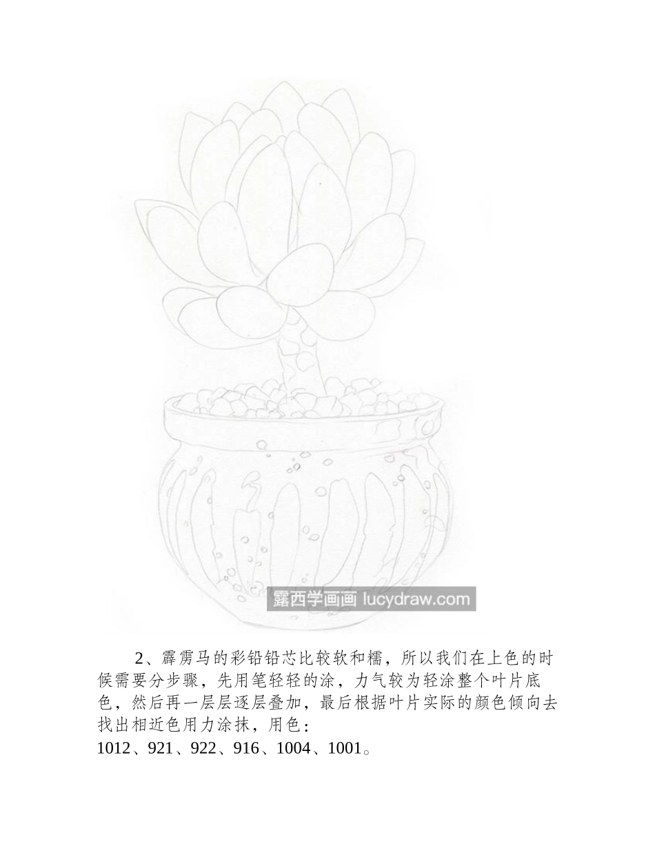 柳叶莲华怎么画_具体有哪些绘画步骤_彩铅画教程_第2页