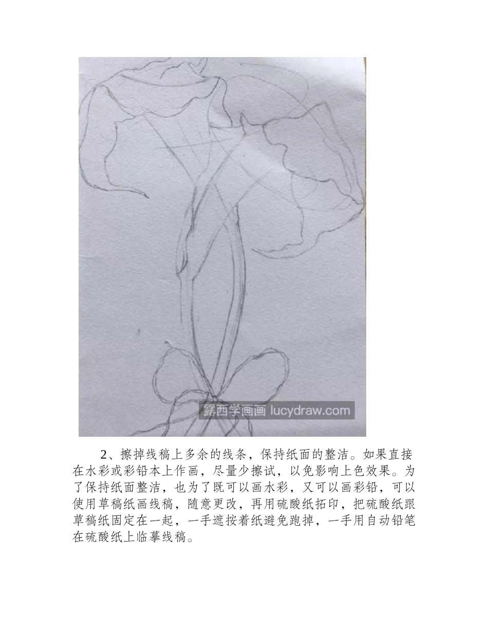 绿百合怎么画_百合花彩铅步骤有几步_彩铅画教程_第2页