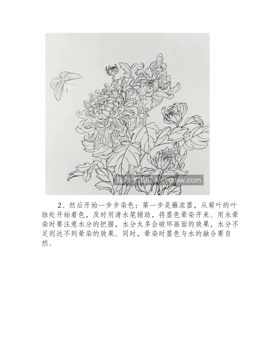 菊花怎么画_超级详细的国画上色教程分享国画教程_第2页