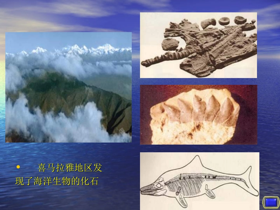 地理-《海陆的变迁》-刘立翠_第3页