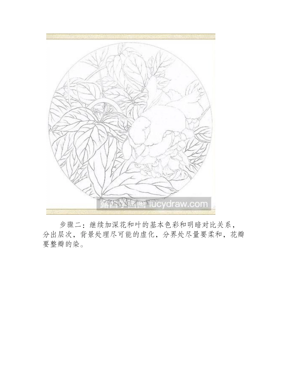 牡丹花的绘制方法工笔画教程_第2页