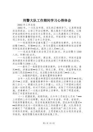 刑警大队工作期间学习心得体会 