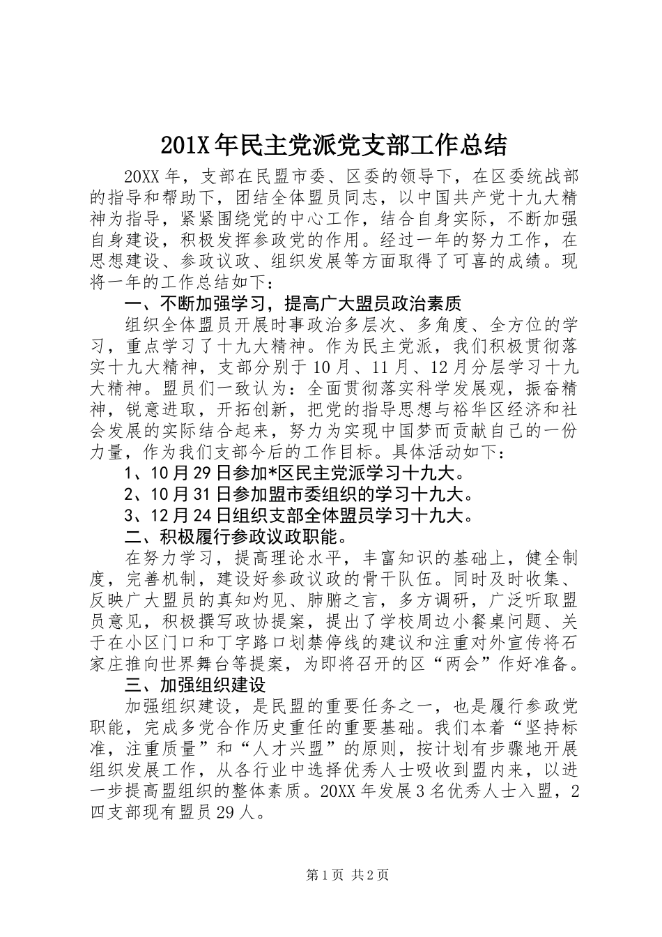 201X年民主党派党支部工作总结_第1页