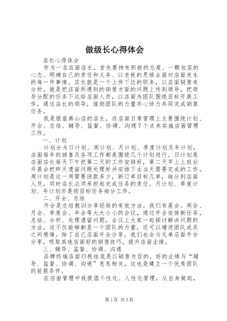 做级长心得体会 