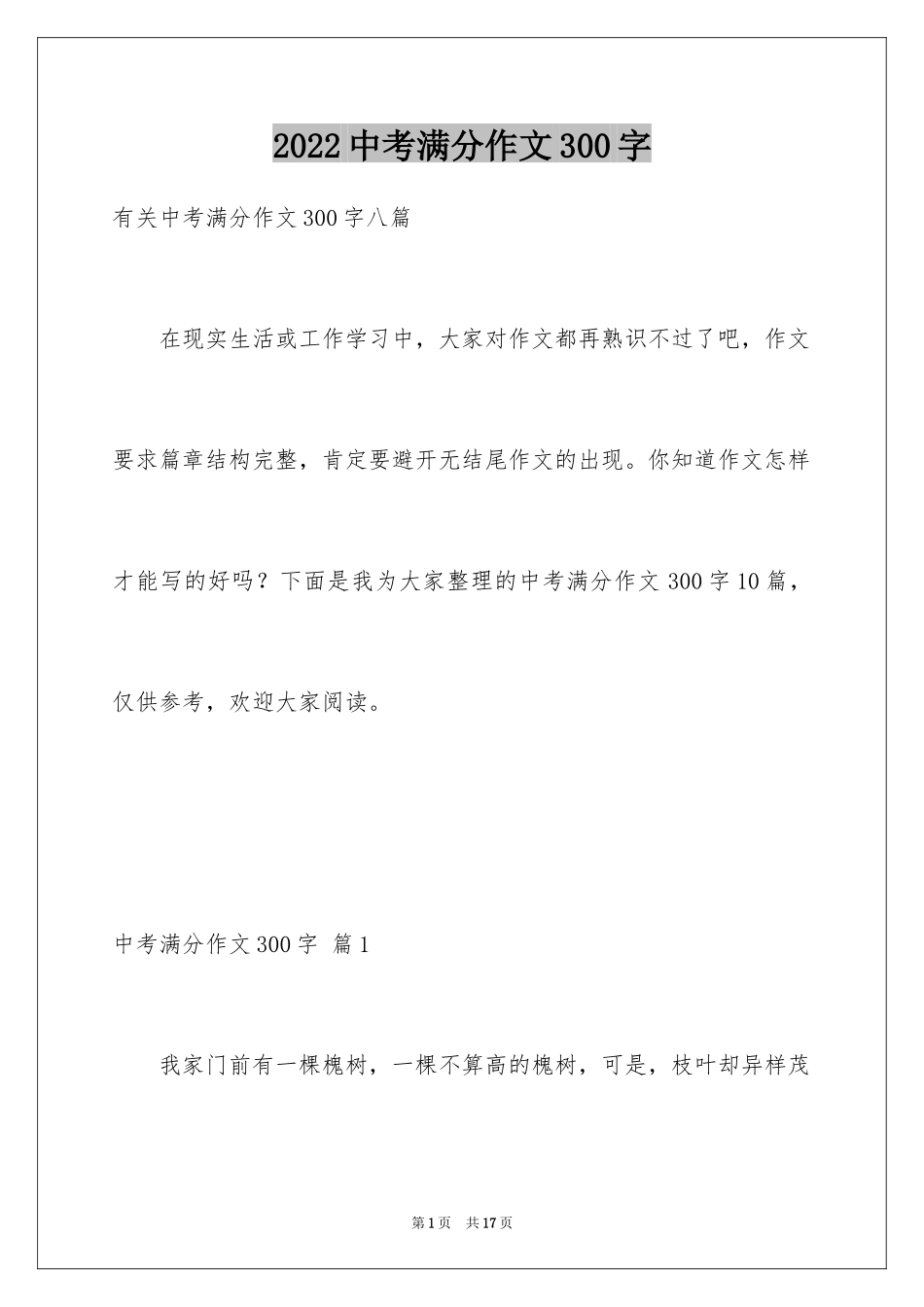 2024中考满分作文300字_46_第1页