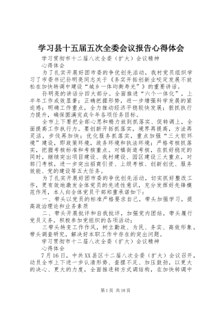 学习县十五届五次全委会议报告心得体会 