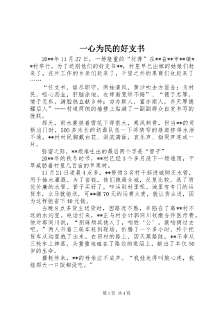 一心为民的好支书