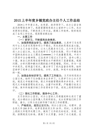 201X上半年度乡镇党政办主任个人工作总结