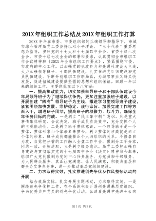 201X年组织工作总结及201X年组织工作打算