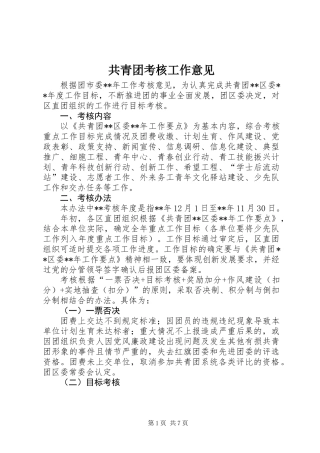 共青团考核工作意见