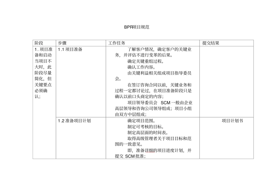 BPR项目规范_第1页