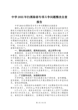 中学20XX年扫黑除恶专项斗争问题整改自查报告 (2)