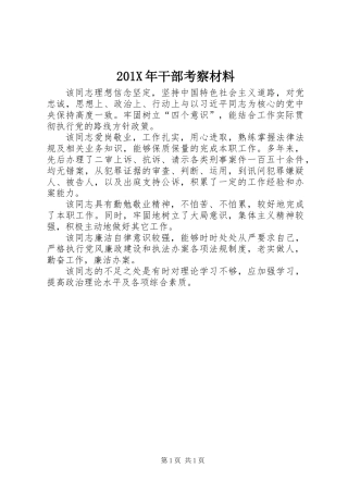 201X年干部考察材料