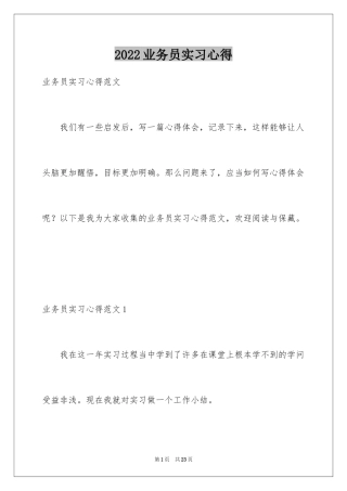 2024业务员实习心得