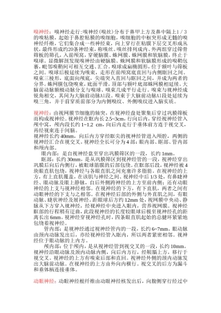 十二对脑神经