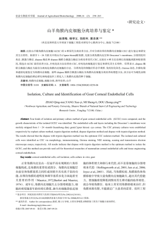 山羊角膜内皮细胞的分离培养与鉴定
