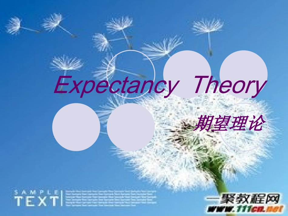 期望理论_英文PPT1_第1页