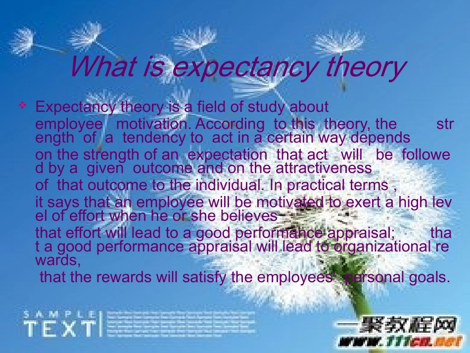 期望理论_英文PPT1_第2页