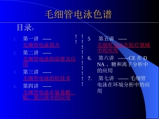 毛细管电泳色谱