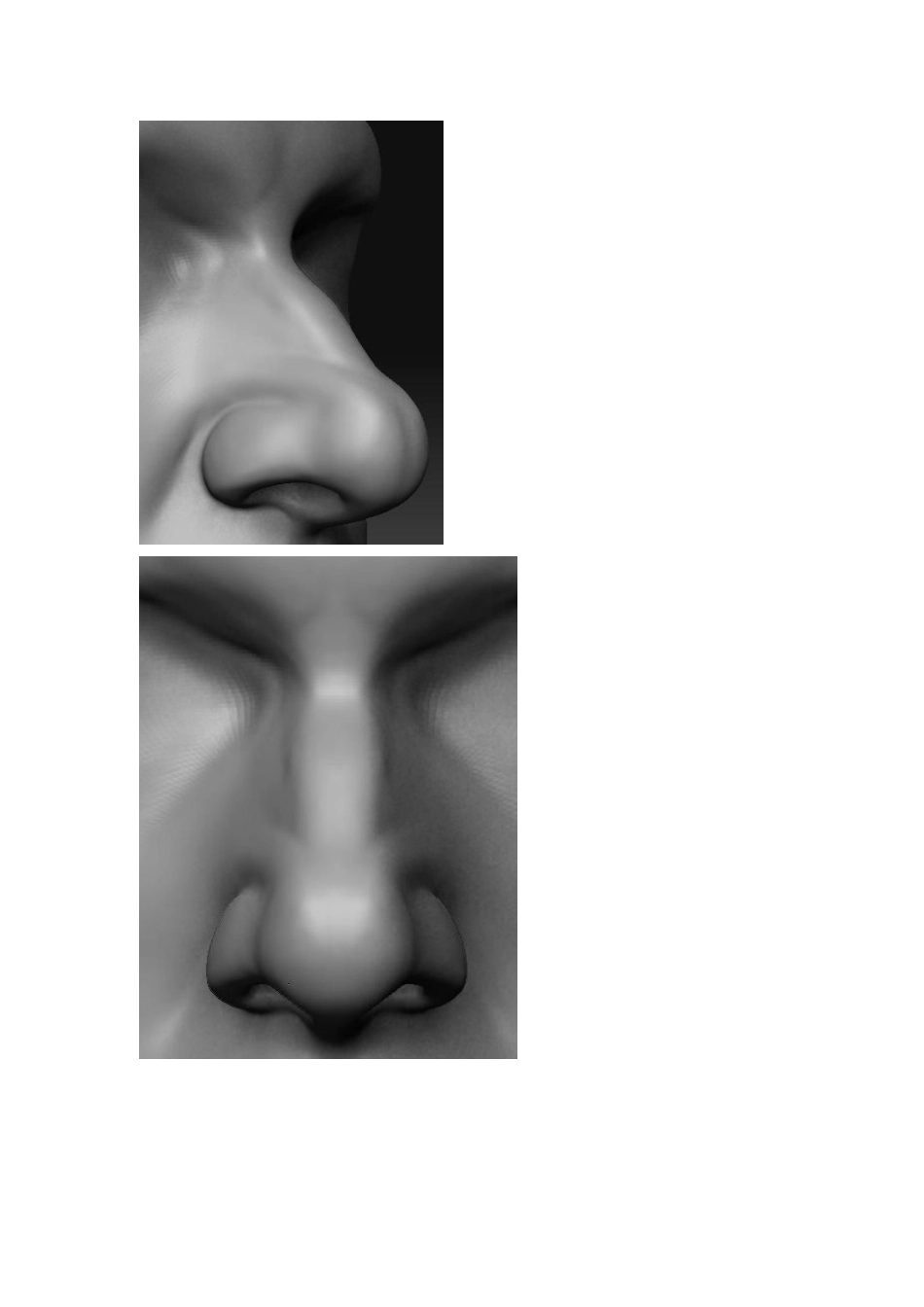 素描,雕塑,鼻子_第2页