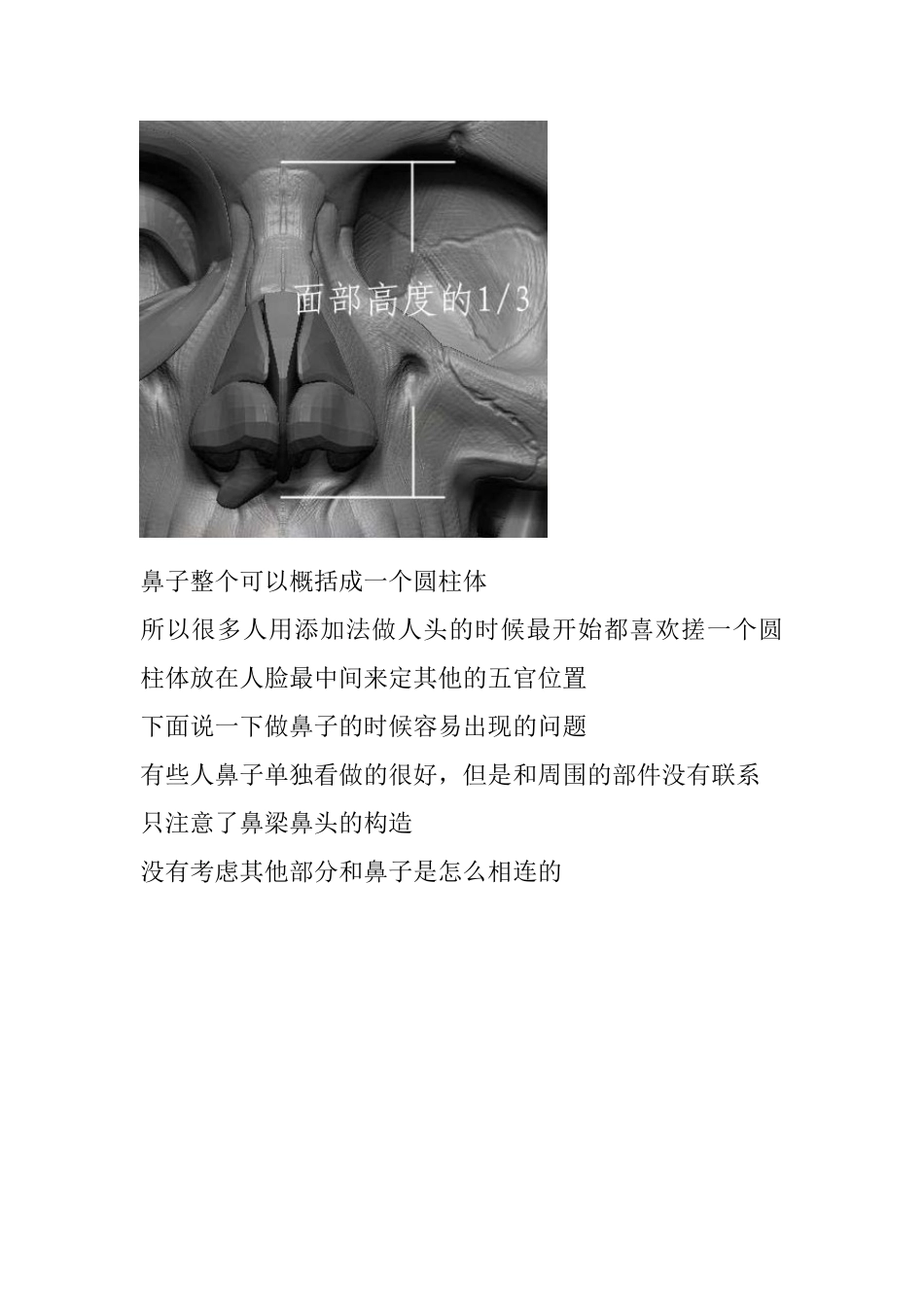 素描,雕塑,鼻子_第3页