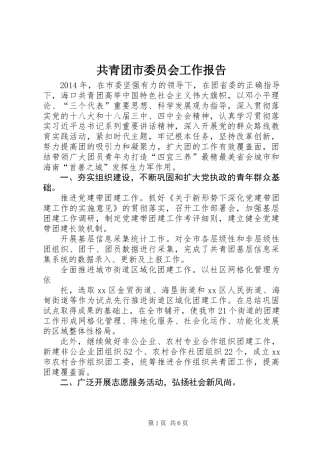 共青团市委员会工作报告