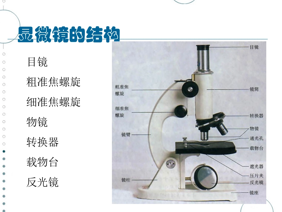 生物：《使用高倍显微镜观察几种细胞》课件_第2页