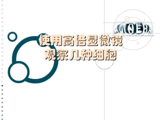 生物：《使用高倍显微镜观察几种细胞》课件