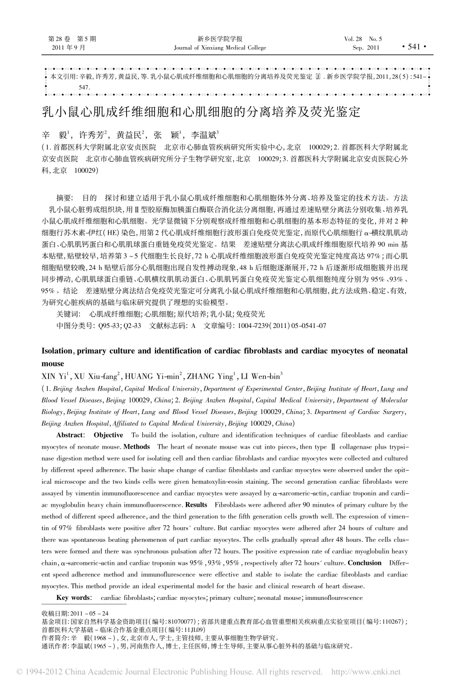 乳小鼠心肌成纤维细胞和心肌细胞的分离培养及荧光鉴定_第1页